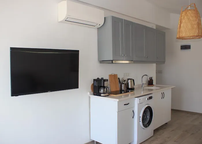 Deluxe One-Bedroom Apartment