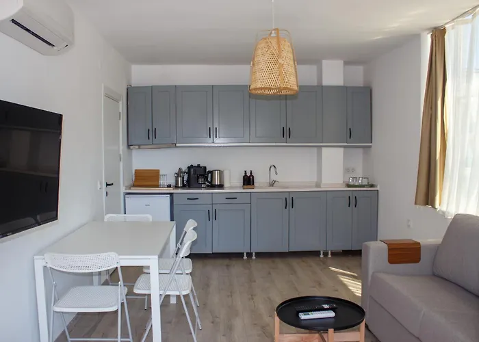 Deluxe One-Bedroom Apartment